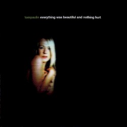 Everything Was Beautiful and Nothing Hurt