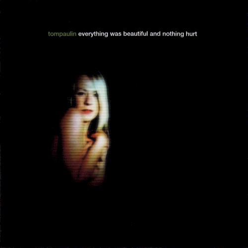 Everything Was Beautiful and Nothing Hurt