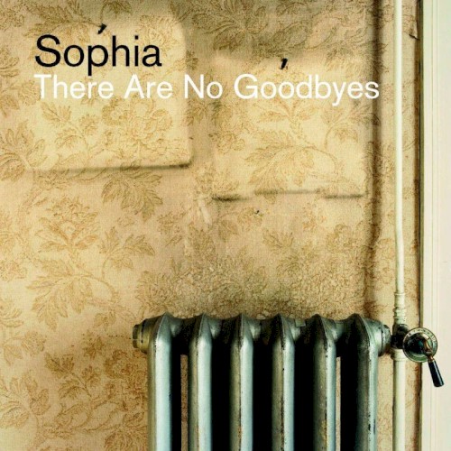 There Are No Goodbyes