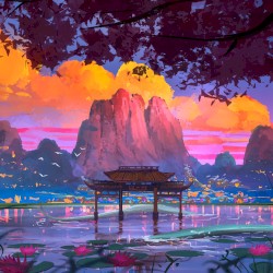 The Magic Unfolds