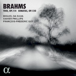 Trio, op. 114 / Sonatas, op. 120