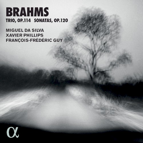 Trio, op. 114 / Sonatas, op. 120