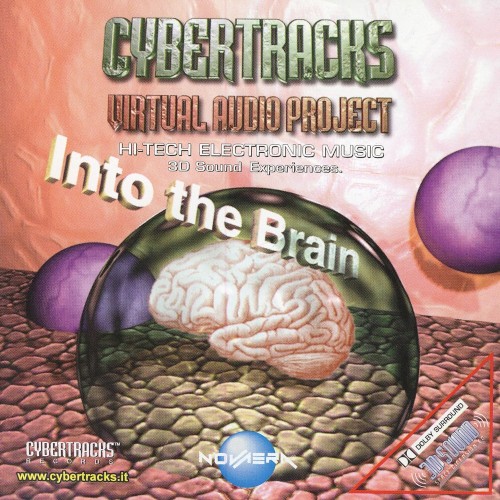 Into the Brain