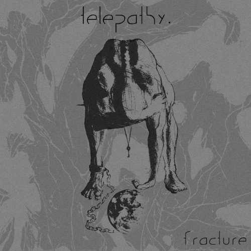 Fracture