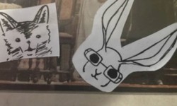 🦊 / 🐰