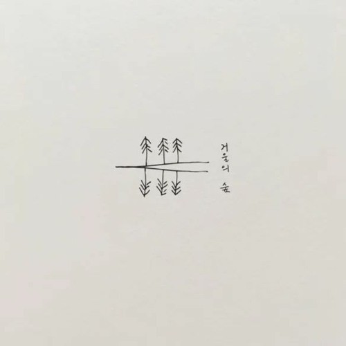 거울의 숲
