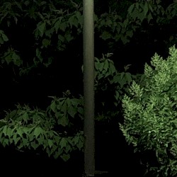 Slight Light Night
