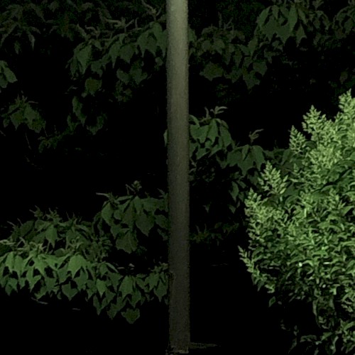Slight Light Night