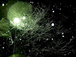 shizukanayoruni(AEN_XMA20121224mix)