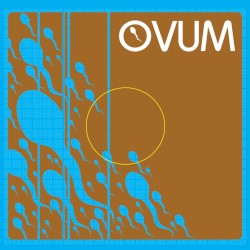 Ovum Miami Promo
