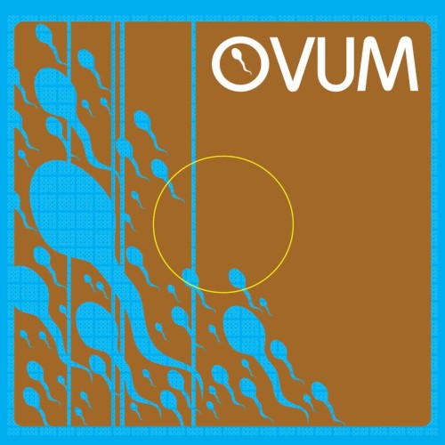 Ovum Miami Promo