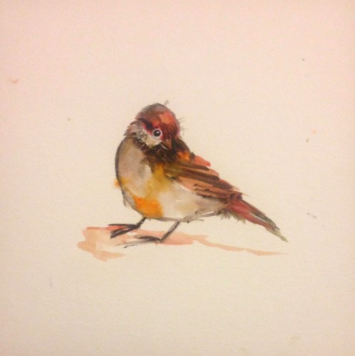 I Wish I Was a Sparrow