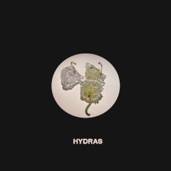Hydras