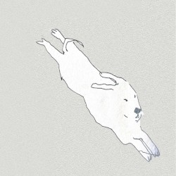 Paper Thin