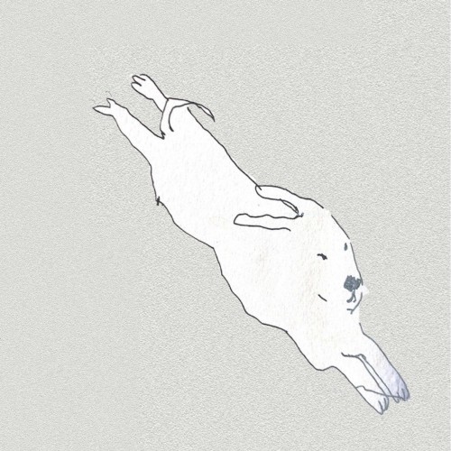 Paper Thin