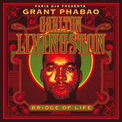 Bridge of Life