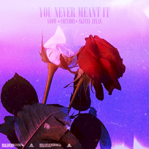 you never meant it