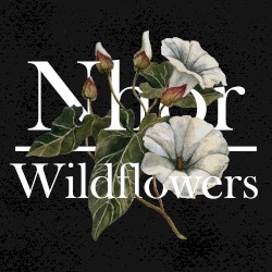 Wildflowers: Summer