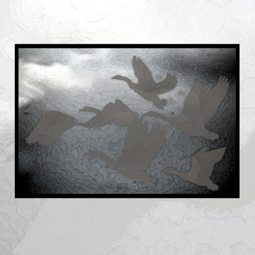 Moonlit Missive #59