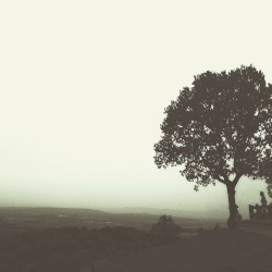 mist