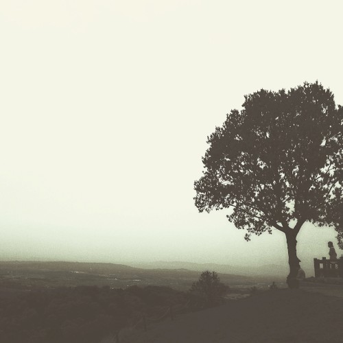 mist