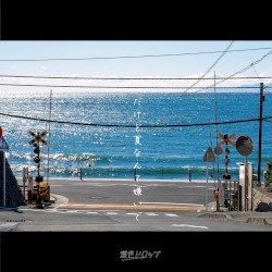 だけど夏なんて嫌いで