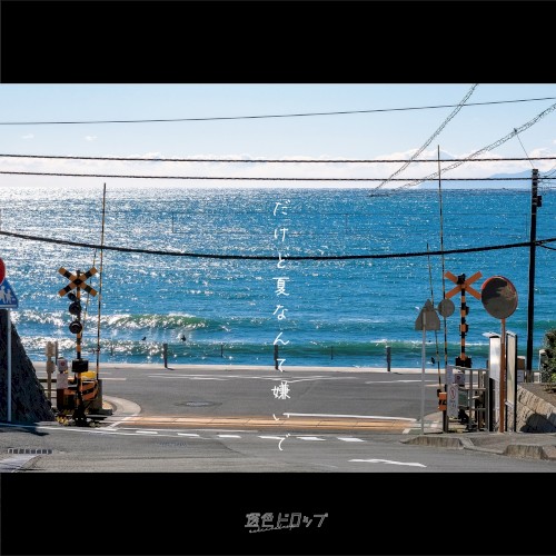 だけど夏なんて嫌いで