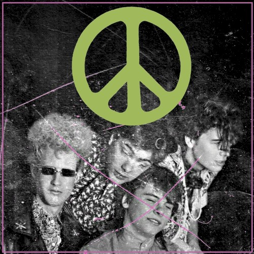 Scratching the Door: The First Recordings of the Flaming Lips