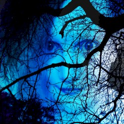 Goddess of the Night Sky