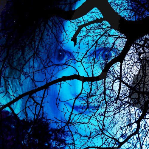 Goddess of the Night Sky