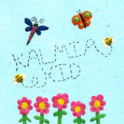 Kalmia Kid