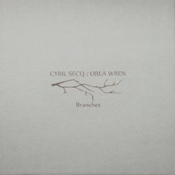 Branches