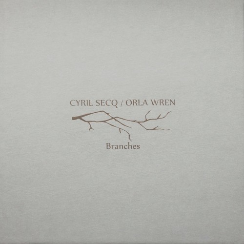 Branches