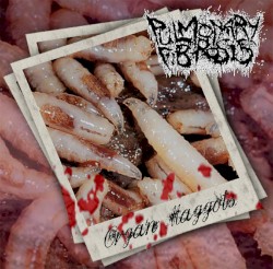 Organ Maggots