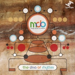 The DNA of Rhythm