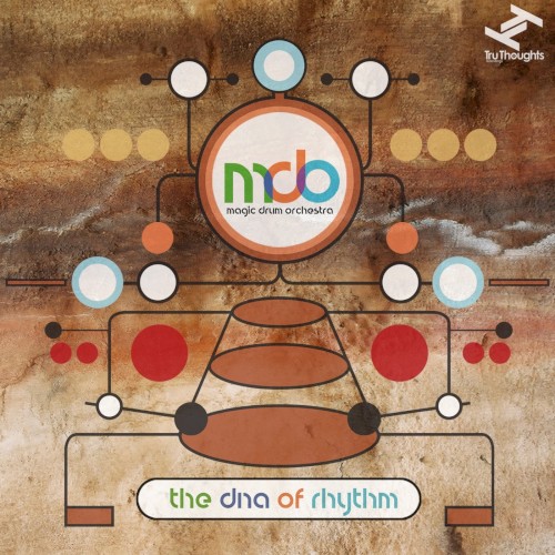 The DNA of Rhythm