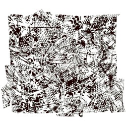 14 Coarse Grained