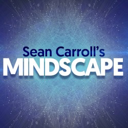 Sean Carroll's Mindscape #362, “The Universal Properties of Self-Organizing Cities”