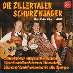 Komm' bald wieder in die Berge