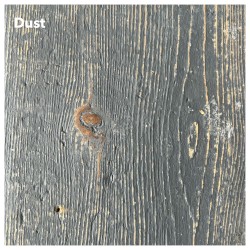 Dust