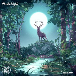 Moonlit Nights