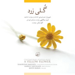 A Yellow Flower