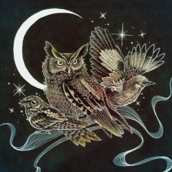 Certain Birds