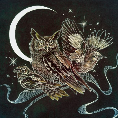 Certain Birds