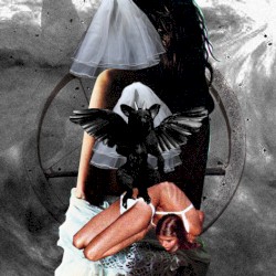 Benighted United