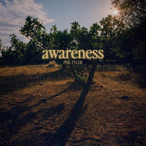 Awareness