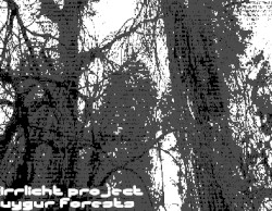 uygur forests