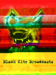 Black Kite Broadcasts