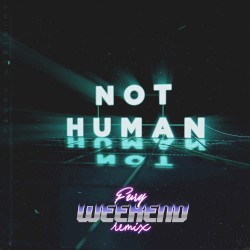 Not Human (Fury Weekend remix)