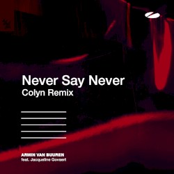Never Say Never (Colyn remix)